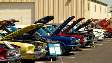 Community Appreciation Day 2024 | Stang Auto Tech - image #2